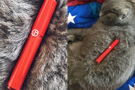 美照後的秘密《把貓皇的毛當背景就可以拍出高級感》GET獲得新技能(升級) 美照後的秘密《把貓皇的毛當背景就可以拍出高級感》GET獲得新技能(升級)