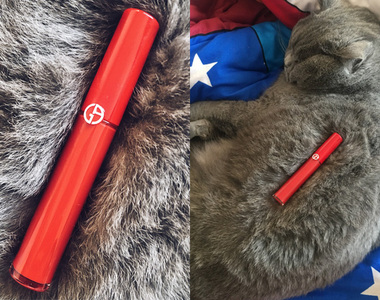美照後的秘密《把貓皇的毛當背景就可以拍出高級感》GET獲得新技能(升級) 美照後的秘密《把貓皇的毛當背景就可以拍出高級感》GET獲得新技能(升級)