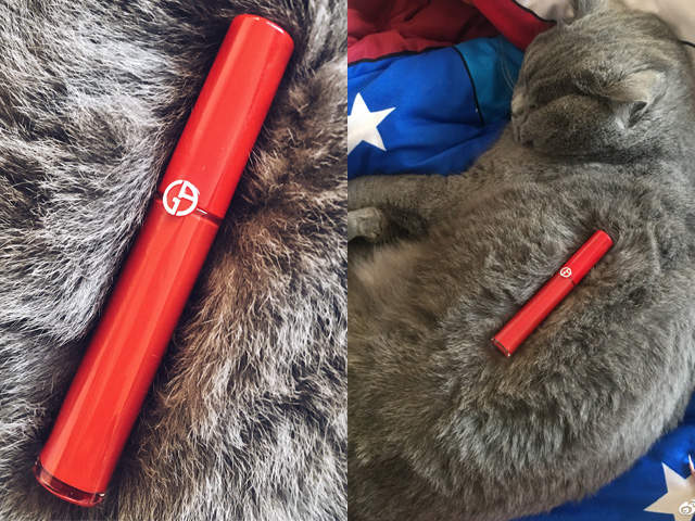 美照後的秘密《把貓皇的毛當背景就可以拍出高級感》GET獲得新技能(升級)