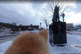 《狗狗視角的Google街景》讓可愛秋田犬帶著你透過螢幕遊故鄉 《狗狗視角的Google街景》讓可愛秋田犬帶著你透過螢幕遊故鄉