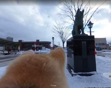 《狗狗視角的Google街景》讓可愛秋田犬帶著你透過螢幕遊故鄉 《狗狗視角的Google街景》讓可愛秋田犬帶著你透過螢幕遊故鄉