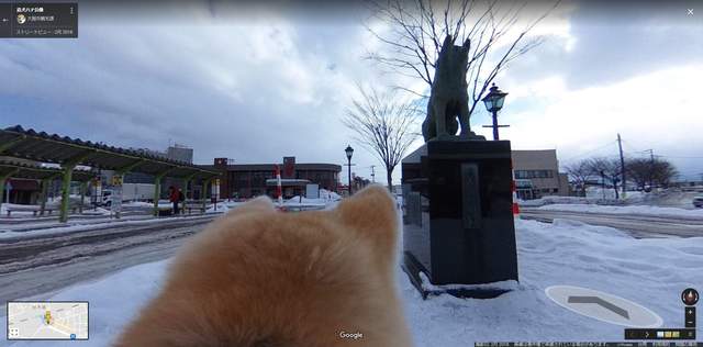 《狗狗視角的Google街景》讓可愛秋田犬帶著你透過螢幕遊故鄉 《狗狗視角的Google街景》讓可愛秋田犬帶著你透過螢幕遊故鄉