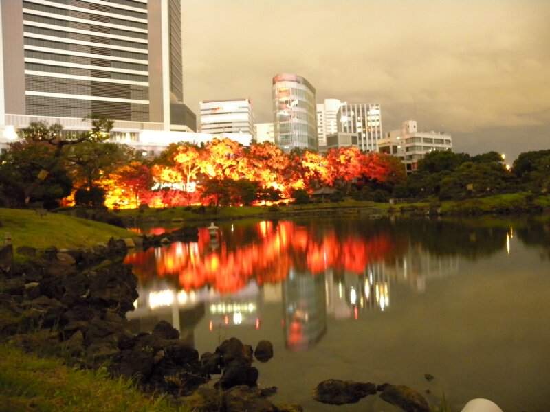 舊芝離宮恩賜庭園《秋季夜間點燈》原來是爆破場景啊 舊芝離宮恩賜庭園《秋季夜間點燈》原來是爆破場景啊