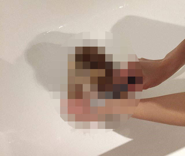 《毛球博美Cece》洗澡前後反差證明不是胖只是"澎" 《毛球博美Cece》洗澡前後反差證明不是胖只是"澎"