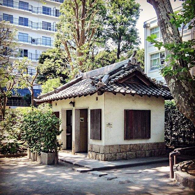 《收集著各式各樣日本公共廁所的IG帳號》日本的廁所也太可愛了吧