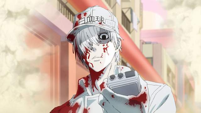 細胞擬人化《工作細胞》決定動畫化了啊~今年暑假就可以看到白血球哥哥殺遍壞菌 細胞擬人化《工作細胞》決定動畫化了啊~今年暑假就可以看到白血球哥哥殺遍壞菌