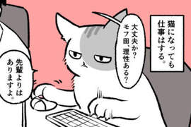 推特話題《貓漫畫》黑企業社員變成貓於是連人生也一起改變惹... 推特話題《貓漫畫》黑企業社員變成貓於是連人生也一起改變惹...