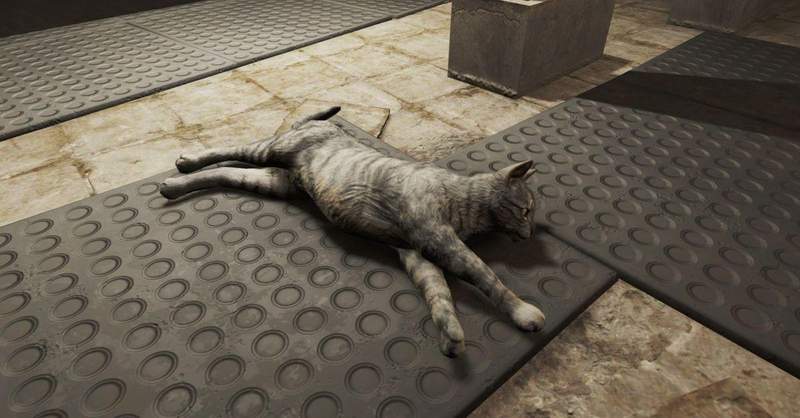 愛貓人士氣炸了《異塵餘生76》遊戲中玩家如果肚子餓可以吃貓，但不能收養？！