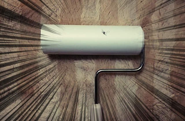 《除塵滾輪的另類用法》超難打的蚊子竟然可以這樣對付!? 《除塵滾輪的另類用法》超難打的蚊子竟然可以這樣對付!?