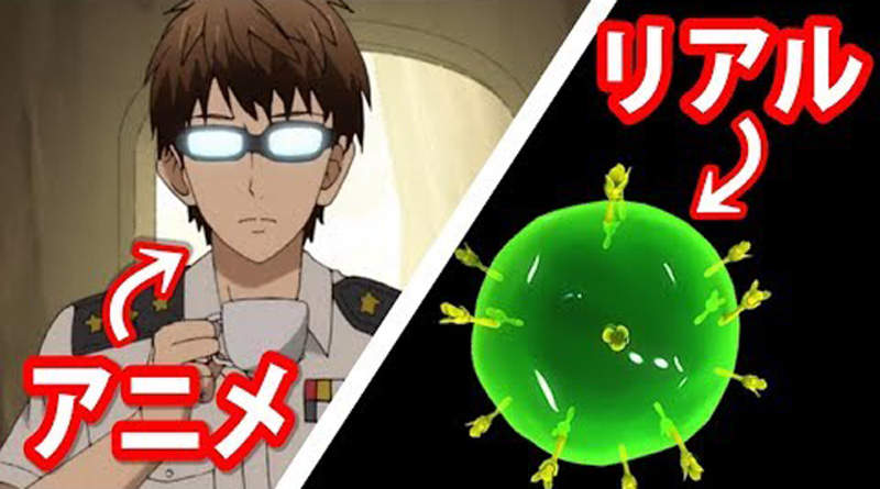 第3話《工作細胞》的《理想與現實》身體的細胞都為了自己在奮戰呢~要好好愛護身體喔 第3話《工作細胞》的《理想與現實》身體的細胞都為了自己在奮戰呢~要好好愛護身體喔