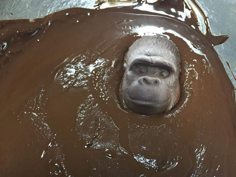 融巧克力好好玩《大猩猩巧克力》他們都有顆頑強的頭殼ww - 圖片1