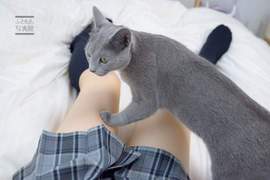 疑因受輿論壓力《大腿寫真展緊急喊停》讓人聯想到未成年性暗示? 疑因受輿論壓力《大腿寫真展緊急喊停》讓人聯想到未成年性暗示?