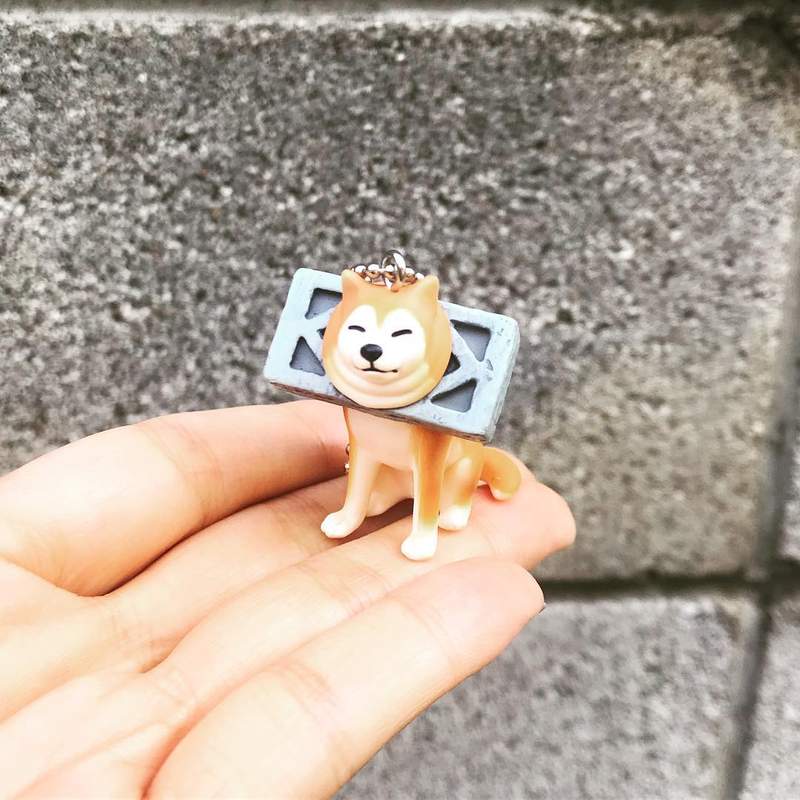 《治癒系扭蛋》「被卡住的柴犬」怎麼老卡在這些奇怪的地方啊XD 《治癒系扭蛋》「被卡住的柴犬」怎麼老卡在這些奇怪的地方啊XD