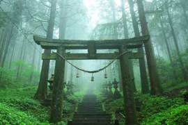 日本奇幻絕景《上色見熊野座神社》宛如通往異世界的入口一般... 日本奇幻絕景《上色見熊野座神社》宛如通往異世界的入口一般...