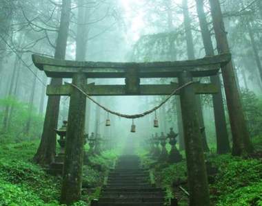 日本奇幻絕景《上色見熊野座神社》宛如通往異世界的入口一般... 日本奇幻絕景《上色見熊野座神社》宛如通往異世界的入口一般...