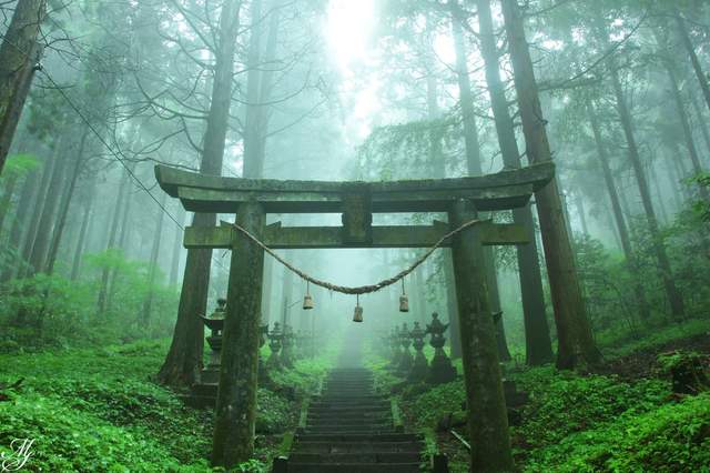 日本奇幻絕景《上色見熊野座神社》宛如通往異世界的入口一般...