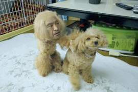 【有片】我看了什麼?Amazon x《松本人志》新廣告化身「人面犬」,求觀眾心理陰影面積… 【有片】我看了什麼?Amazon x《松本人志》新廣告化身「人面犬」,求觀眾心理陰影面積…