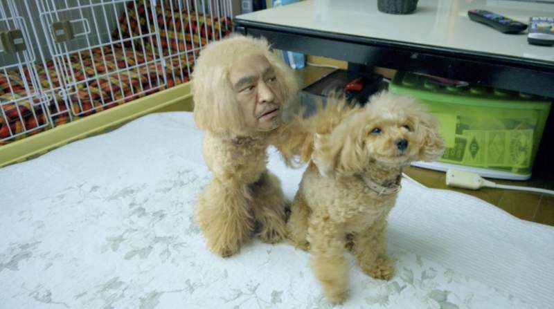 【有片】我看了什麼？Amazon x《松本人志》新廣告化身「人面犬」，求觀眾心理陰影面積…