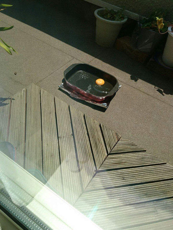 《日本猛暑的威力》熱到可以煎蛋那我還不加片火腿嗎XD 《日本猛暑的威力》熱到可以煎蛋那我還不加片火腿嗎XD