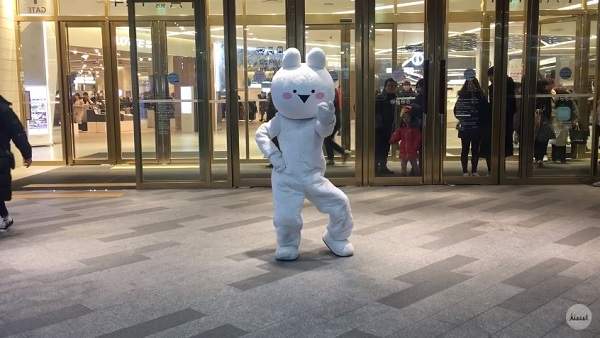 這舞蹈有毒《愛跳舞的兔子》超魔性舞蹈讓人笑到美叮美噹(￣▽￣)