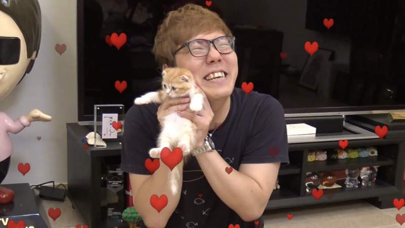 HIKAKIN大炎上《為什麼不以收養代替購買》事實上收養一點都不簡單啊……