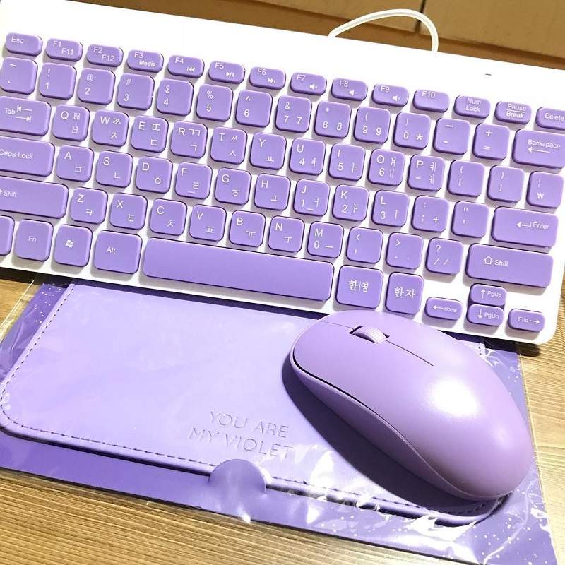 實品拍攝超級美《大創YOU ARE MY VIOLET》這波紫色風潮誰也擋不住♥