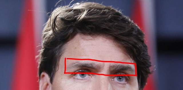 加拿大帥哥總理假眉毛掉下來 外國網友稱為《杜魯多之眉》事件