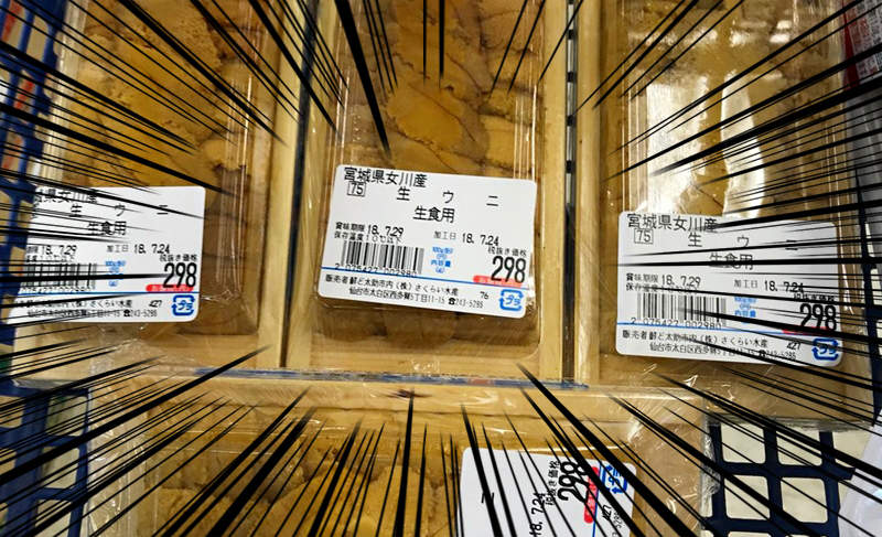 【推特瘋傳】宮城縣漁場大量繁殖《海膽》一盒只賣298円?!網友:我要去吃到痛風 【推特瘋傳】宮城縣漁場大量繁殖《海膽》一盒只賣298円?!網友:我要去吃到痛風