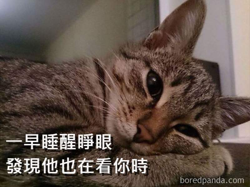 這畫面超傳神《用一張圖說明戀愛狀況》這次看了不生氣反而好羨慕w