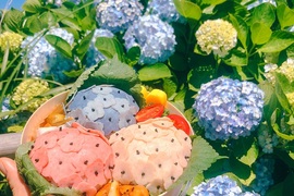 絕美♥社群打卡美食《繡球花便當》比真花還美的便當只有「這裡」買的到唷~ 絕美♥社群打卡美食《繡球花便當》比真花還美的便當只有「這裡」買的到唷~