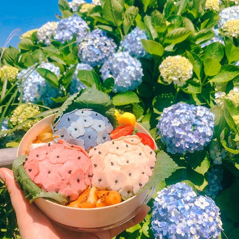 絕美♥社群打卡美食《繡球花便當》比真花還美的便當只有「這裡」買的到唷～