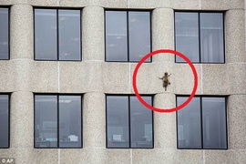 《浣熊空手爬大樓》事件 火箭浣熊地球前傳故事? 《浣熊空手爬大樓》事件 火箭浣熊地球前傳故事?