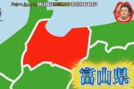 《日本IG使用率最高的地區》為什麼富山會超越東京拿下第一呢? 《日本IG使用率最高的地區》為什麼富山會超越東京拿下第一呢?