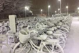 《下雪天的腳踏車事件簿》Hey Siri,我的腳踏車是哪一台?ww 《下雪天的腳踏車事件簿》Hey Siri,我的腳踏車是哪一台?ww