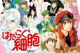細胞擬人動畫作品《工作細胞》公布聲優名單 紅血球是花澤香菜♡ 細胞擬人動畫作品《工作細胞》公布聲優名單 紅血球是花澤香菜♡