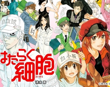 細胞擬人動畫作品《工作細胞》公布聲優名單 紅血球是花澤香菜♡ 細胞擬人動畫作品《工作細胞》公布聲優名單 紅血球是花澤香菜♡