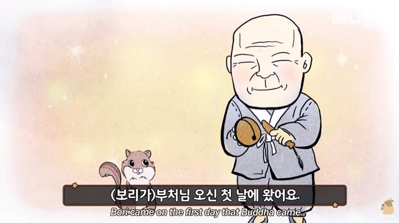 走到哪都要跟的《黏人松鼠》什麼原因讓這隻松鼠不願離開呢？