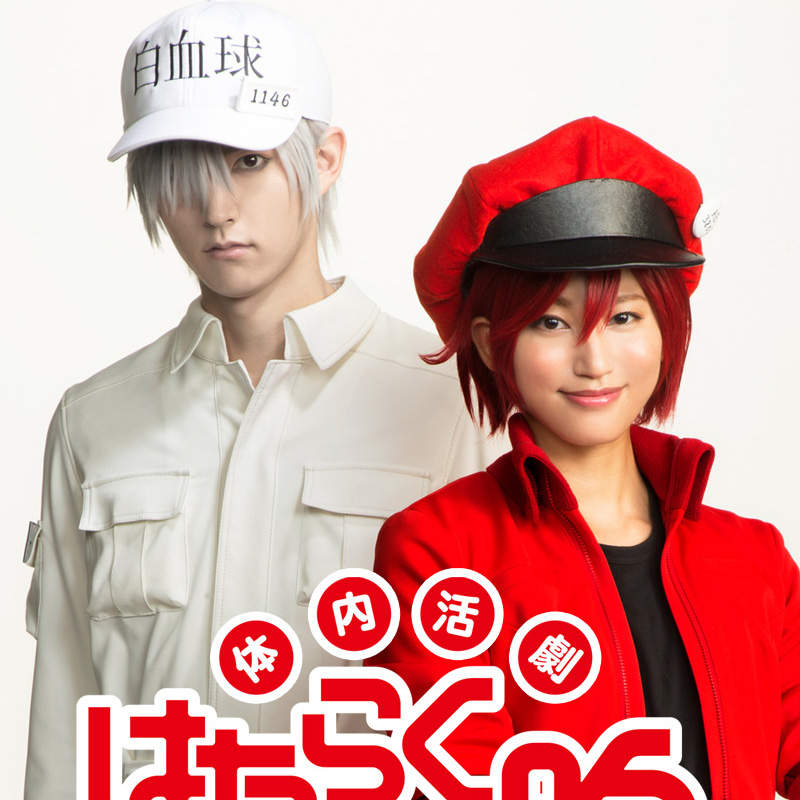 人體奧妙《工作細胞真人舞台劇》可以看到白血球在舞台上殺爆細菌們啦