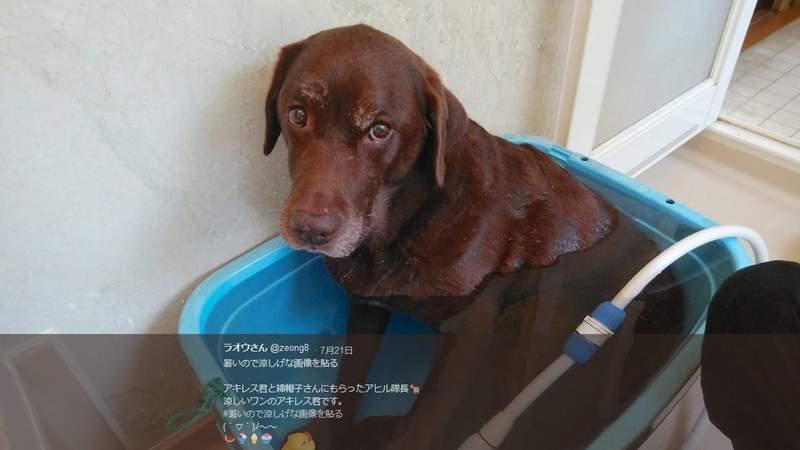 《涼感圖片大募集》炎熱的夏天只要是感覺冰涼的不管什麼都好啦 《涼感圖片大募集》炎熱的夏天只要是感覺冰涼的不管什麼都好啦