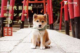 《麻生美代子代表作》疼愛柴犬豆助的奶奶 日本職人好吃驚的靈魂配音…… 《麻生美代子代表作》疼愛柴犬豆助的奶奶 日本職人好吃驚的靈魂配音……
