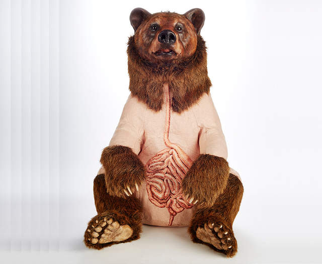 《擬真過頭的動物絨毛娃娃》皮毛下血管心臟一清二楚感覺痛痛der