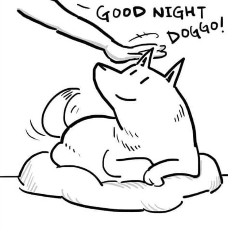 讓人淚崩的《寵物插畫》想要永恆的愛？養條狗吧♥