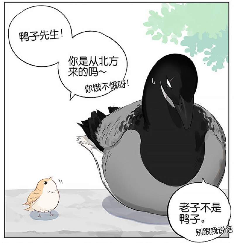 阿闷aman新作《南方的鳥和北方的鳥》傲嬌的北方鳥兒被軟萌的南方鳥兒攻陷啦~ 阿闷aman新作《南方的鳥和北方的鳥》傲嬌的北方鳥兒被軟萌的南方鳥兒攻陷啦~