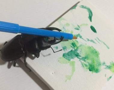 另類萌寵物《鍬形蟲》Spike也有想成為偉大畫家的夢想 另類萌寵物《鍬形蟲》Spike也有想成為偉大畫家的夢想