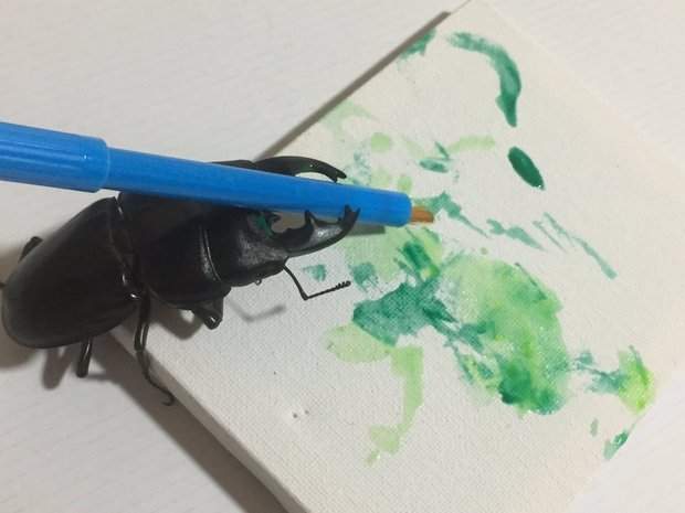 另類萌寵物《鍬形蟲》Spike也有想成為偉大畫家的夢想