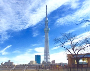 你去過了幾個呢《外國人到訪東京觀光排行榜》還有推薦體驗類別的排行呦 你去過了幾個呢《外國人到訪東京觀光排行榜》還有推薦體驗類別的排行呦