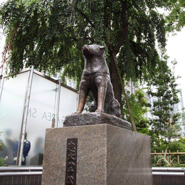 你去過了幾個呢《外國人到訪東京觀光排行榜》還有推薦體驗類別的排行呦 - 圖片5