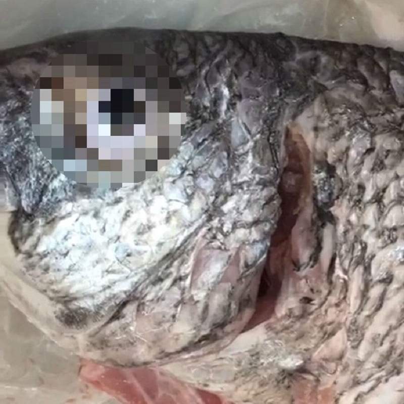 說好的死魚眼呢？《死魚眼上的假眼睛》魚販用這招偽裝新鮮活魚引起眾怒