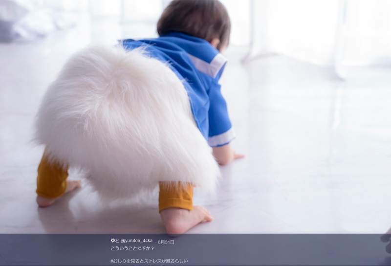 《最有效舒壓》都市傳說看臀部可以有效減壓? 《最有效舒壓》都市傳說看臀部可以有效減壓?