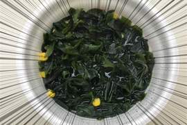 【推特話題】看不見麵的《3.5倍海帶芽泡麵》乾脆變成35倍又會是什麼模樣ww 【推特話題】看不見麵的《3.5倍海帶芽泡麵》乾脆變成35倍又會是什麼模樣ww